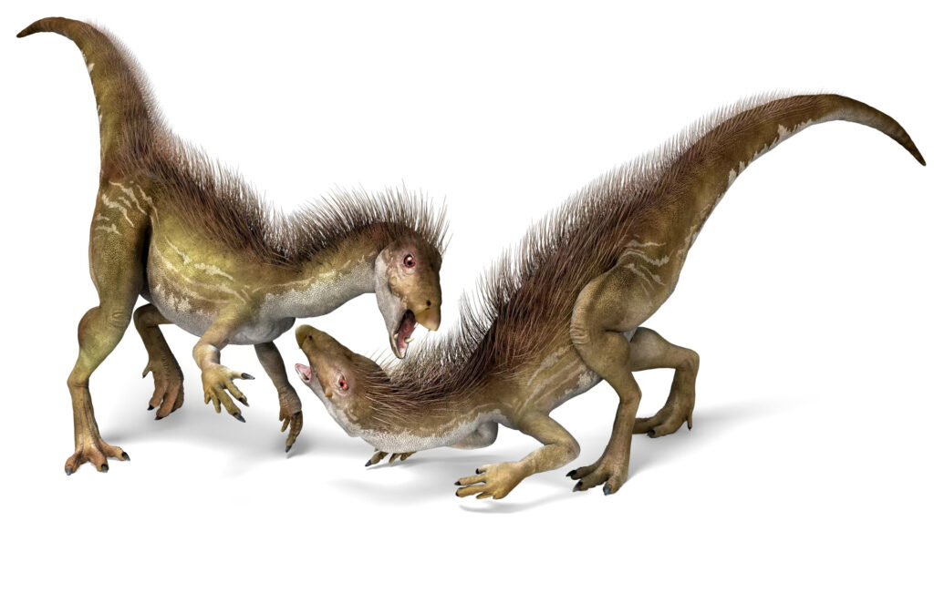 Heterodontosaurus