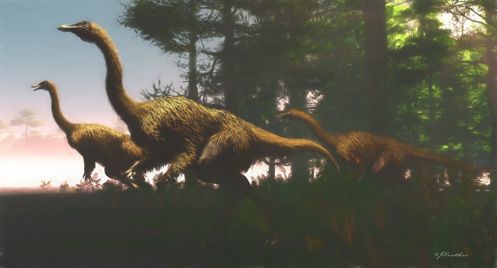 Ornithomimus Dinosaur Exploring A Feathered Wonder ornithomimus-dinosaur-exploring-a-feathered-wonder