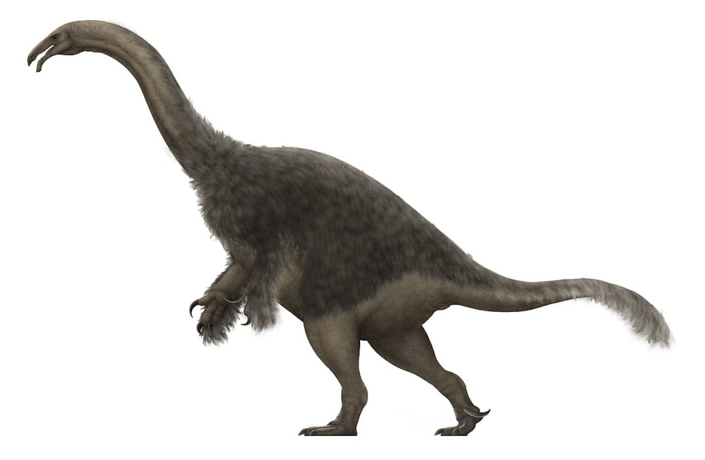 Segnosuarus dinosaur