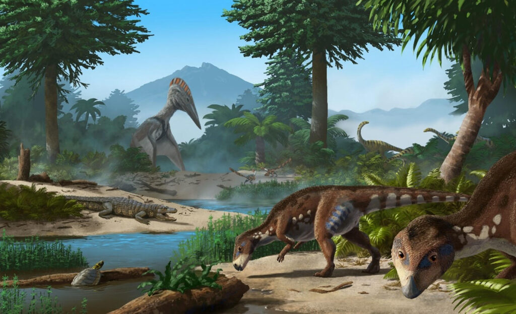 what did omnivorous dinosaurs eat?