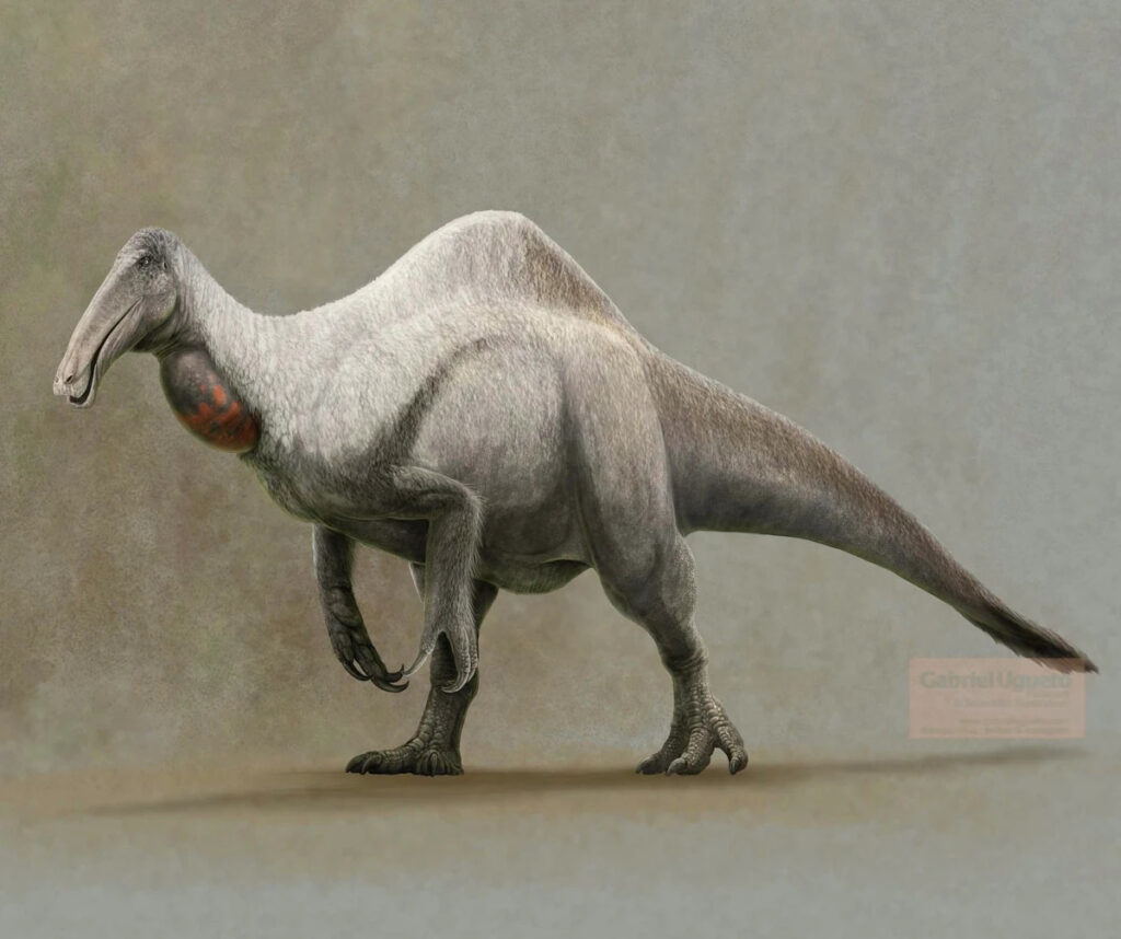 What is the Biggest Omnivore Dinosaur?