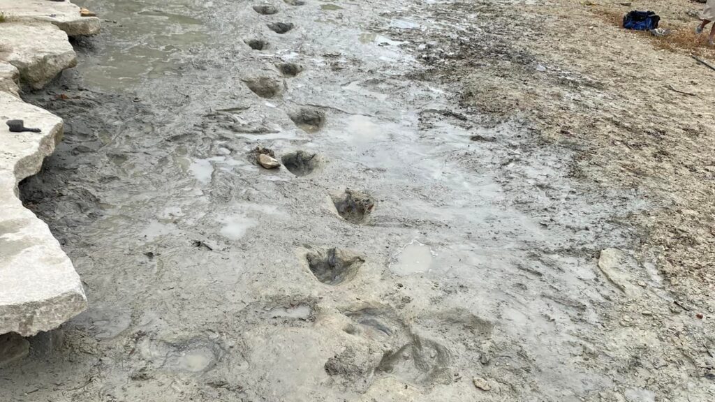 dinosaur valley state park human footprints
