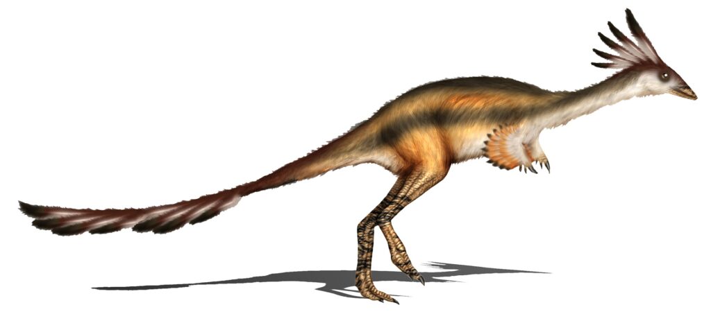Alvarezsaurus Dinosaur