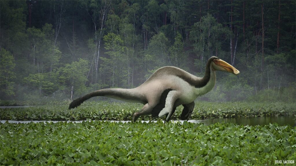 Deinocheirus Dinosaur