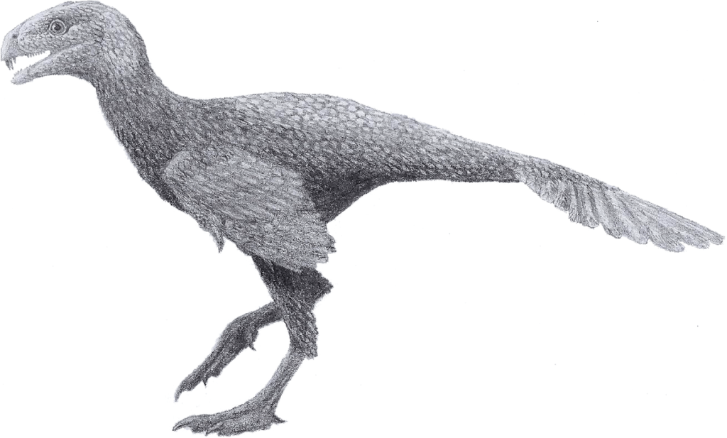 Incisivosaurus Dinosaur