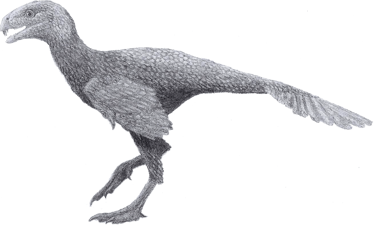 Incisivosaurus The Surprising Truth About Its Diet