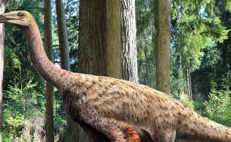 Nqwebasaurus Dinosaur