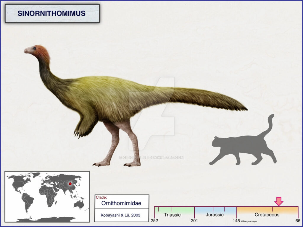 Sinornithomimus Dinosaur Facts