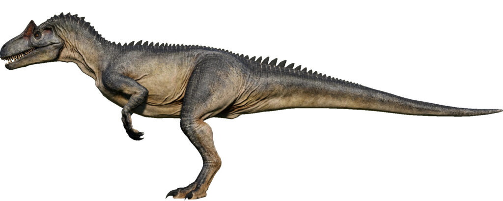 Allosaurus