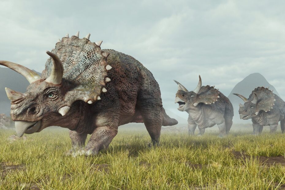 Are triceratops omnivores