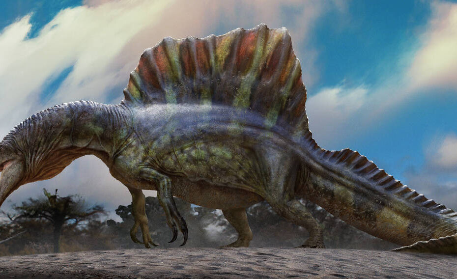 Spinosaurus Largest Dinosaur