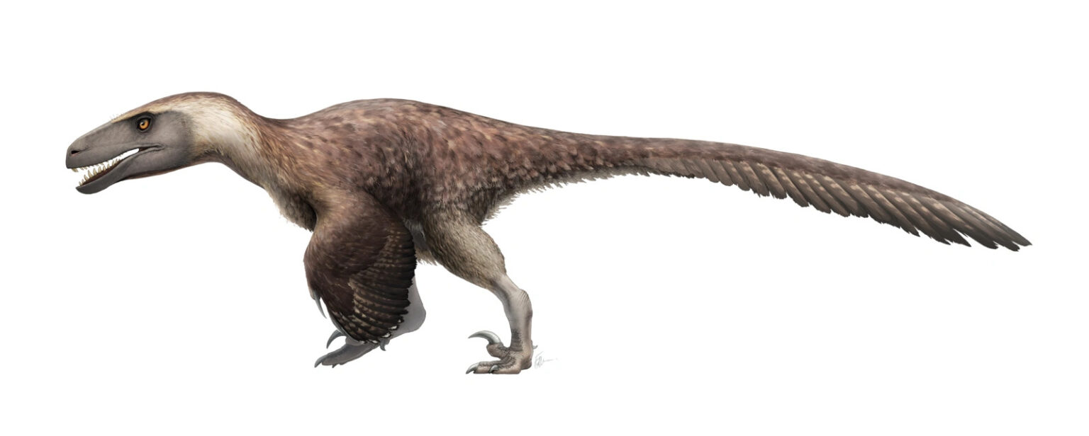 Utahraptor: Claws And Carnage In The Cretaceous