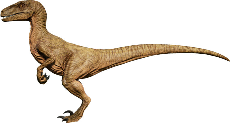 Velociraptor: A Hunter's Anatomy and Behavior