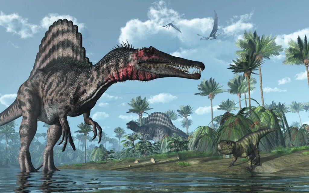 What is the Biggest Carnivorous Dinosaur?