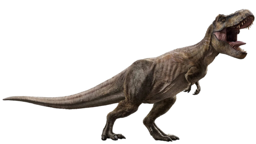 Key Attributes of Tyrannosaurus rex